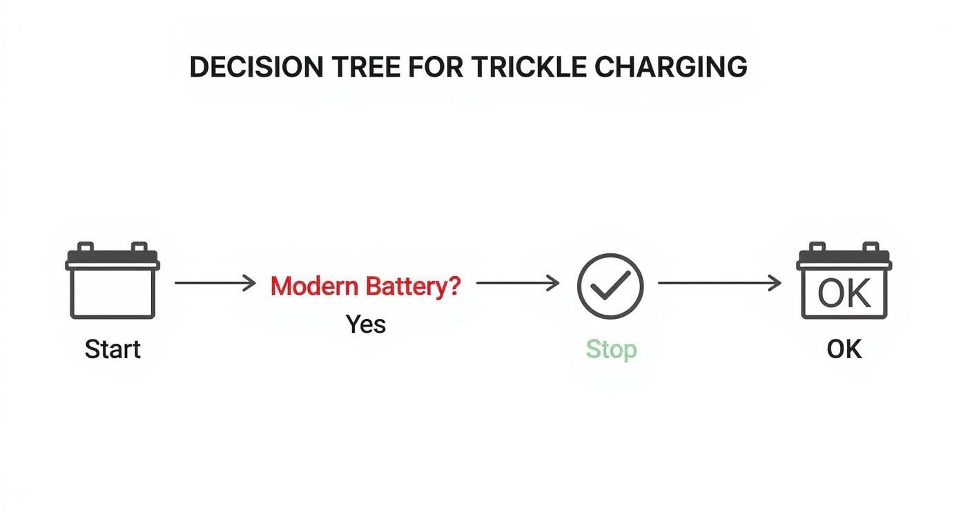 Infographic about what is trickle charging