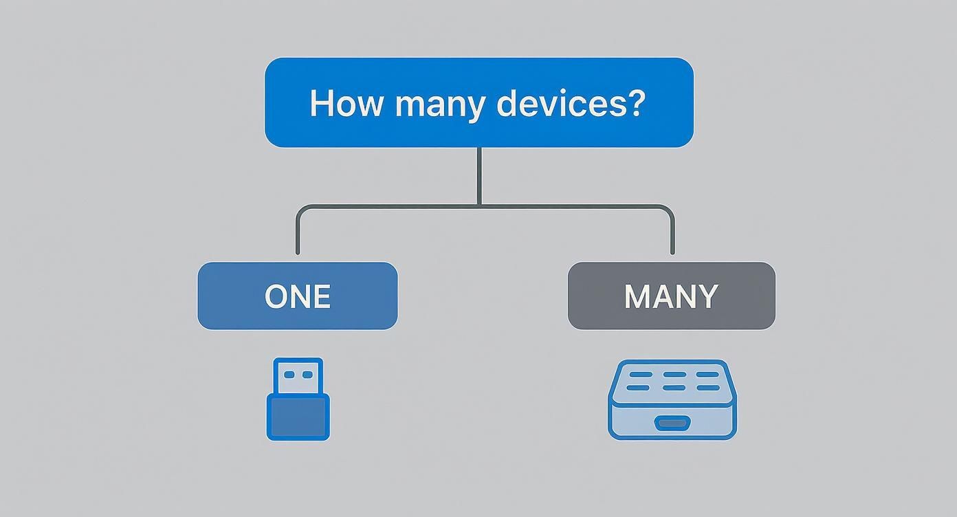 Flowchart diagram showing device connection options split between one device and many devices